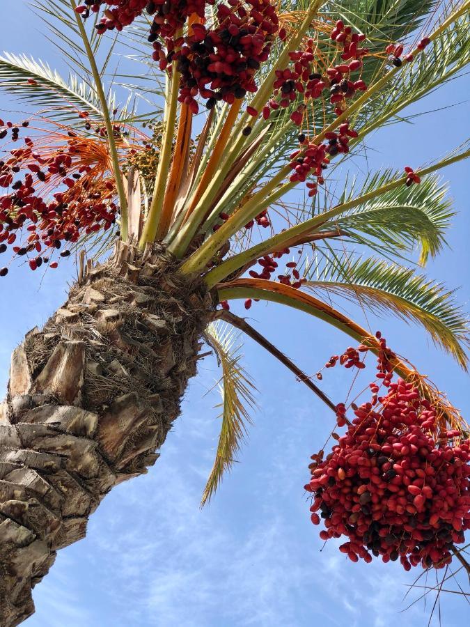 Willa Vista Azul Arco da Calheta  Zewnętrze zdjęcie