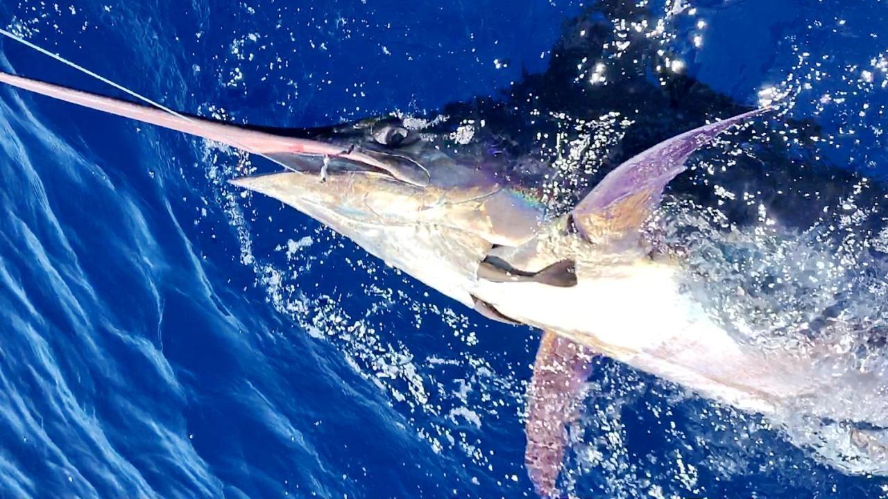 Willa Vista Azul Arco da Calheta  Zewnętrze zdjęcie