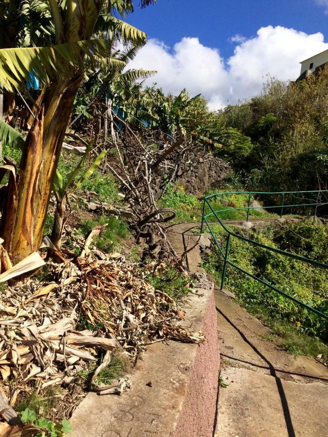 Willa Vista Azul Arco da Calheta  Zewnętrze zdjęcie