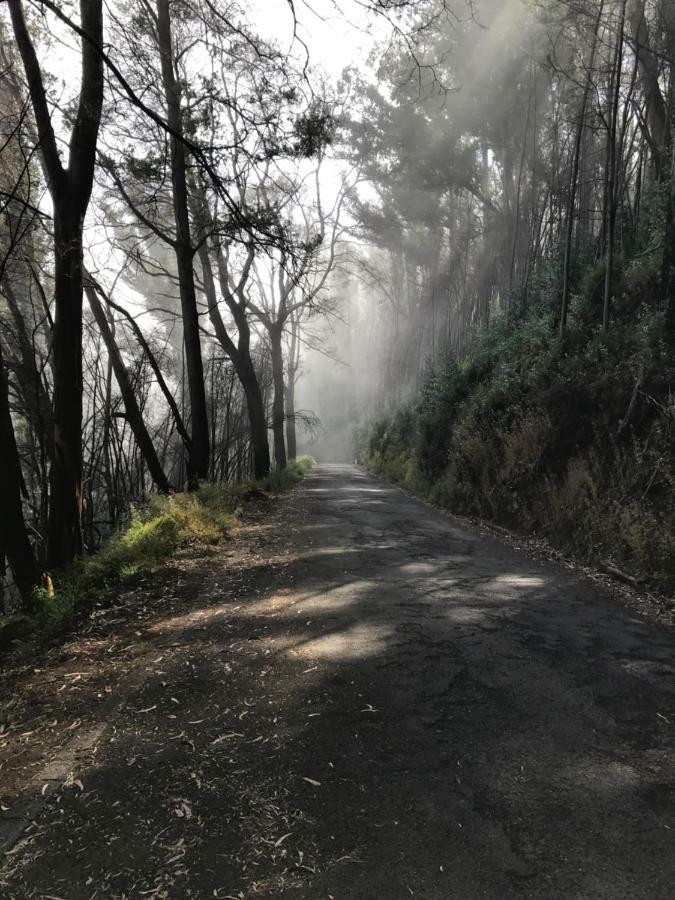 Willa Vista Azul Arco da Calheta  Zewnętrze zdjęcie