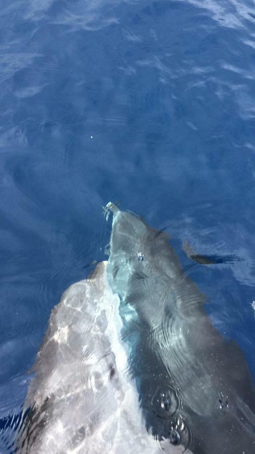 Willa Vista Azul Arco da Calheta  Zewnętrze zdjęcie